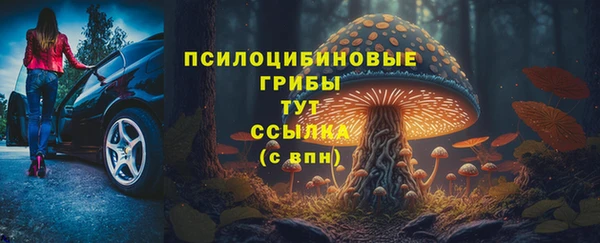 прущий лед Липки