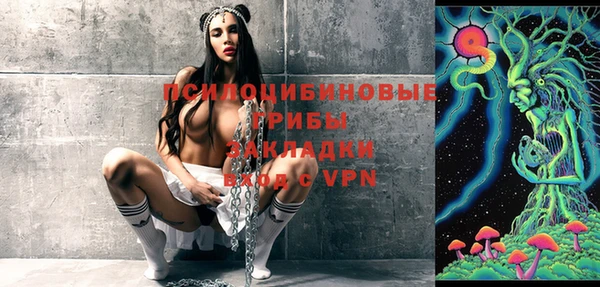 прущий лед Липки
